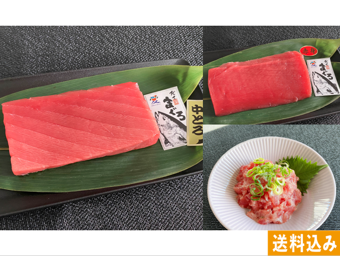 愛媛県産だてまぐろ 中トロ・赤身 柵＋ねぎとろセット【新鮮組